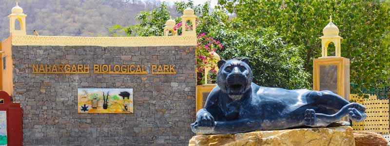 Nahargarh Biological Park