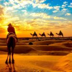 Best camel safari in Rajasthan