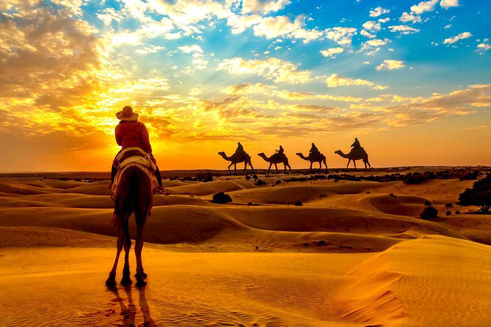 Best camel safari in Rajasthan