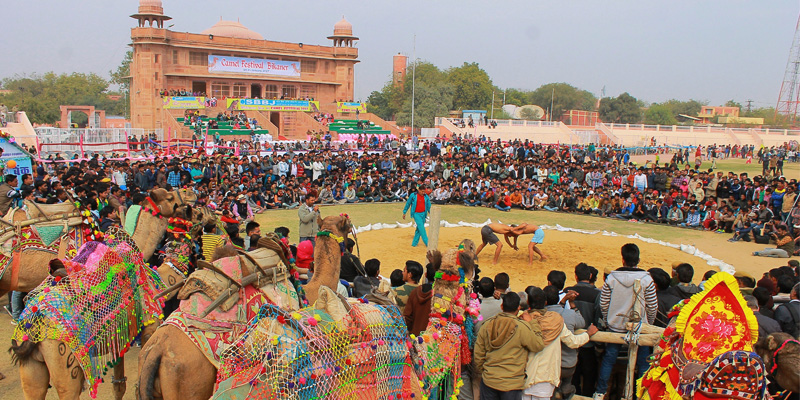 Bikaner Camel Country